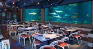 timeshare vacation orlando