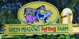Petting Zoo Activity in Orlando For Tots