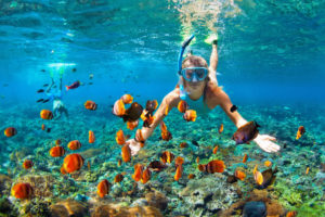 Mesoamerican Barrier Reef attraction