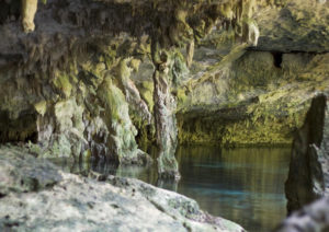 cenotes to check out while in mexico