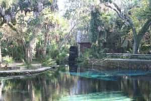 Juniper Springs Recreation Area