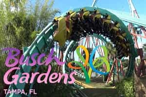 Best Roller Coasters in Florida