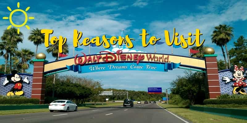 Disney World Vacation