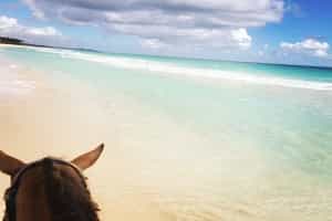 Best Horse Activities In Punta Cana