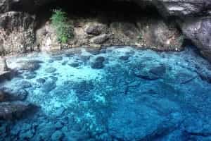 Cenotes In Punta Cana