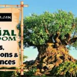 Top Animal Kingdom Rides For Kids