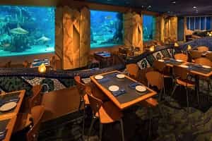 Best Restaurants At Epcot