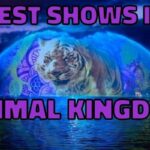 Best Shows Disney World