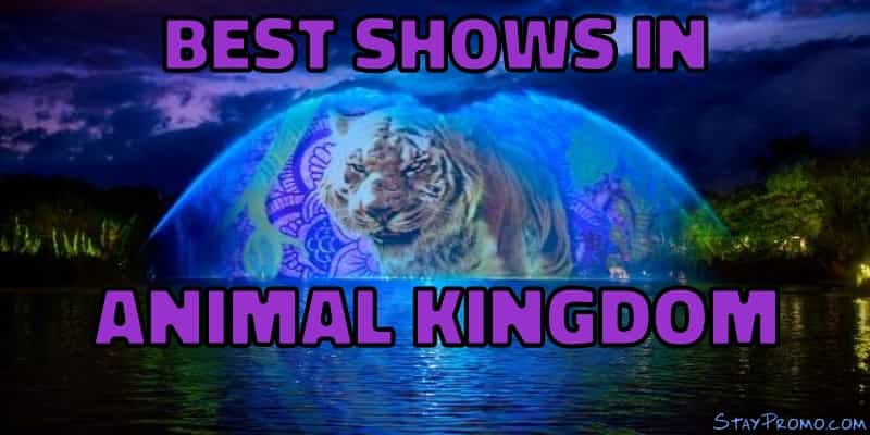 Best Shows Disney World