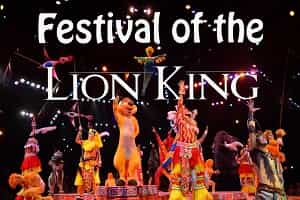 Lion King Dinner Show Animal Kingdom