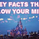 Cool Things About Disney World