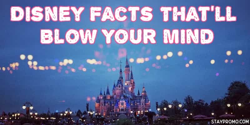 Cool Things About Disney World